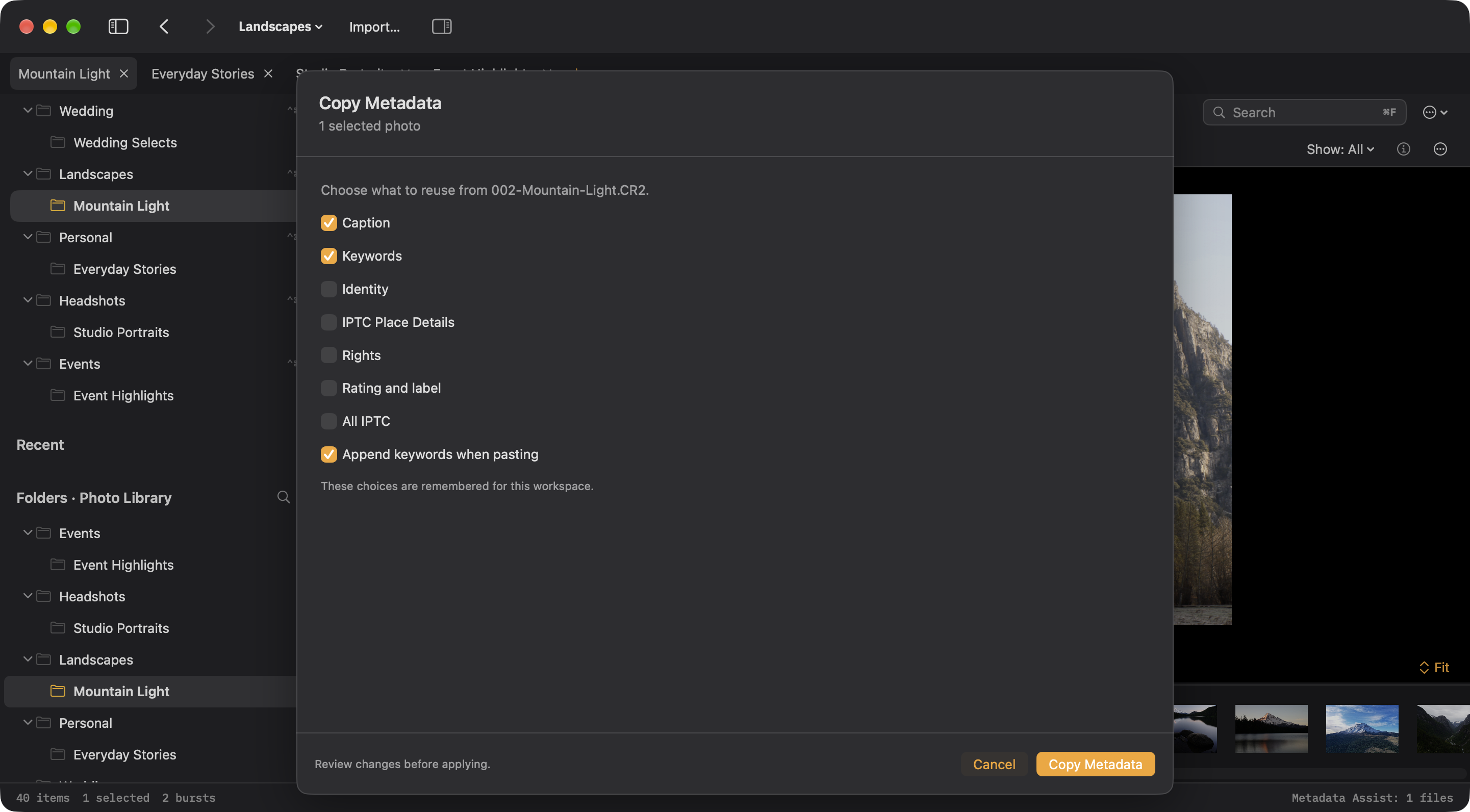 Copy Metadata field picker with caption and keywords selected