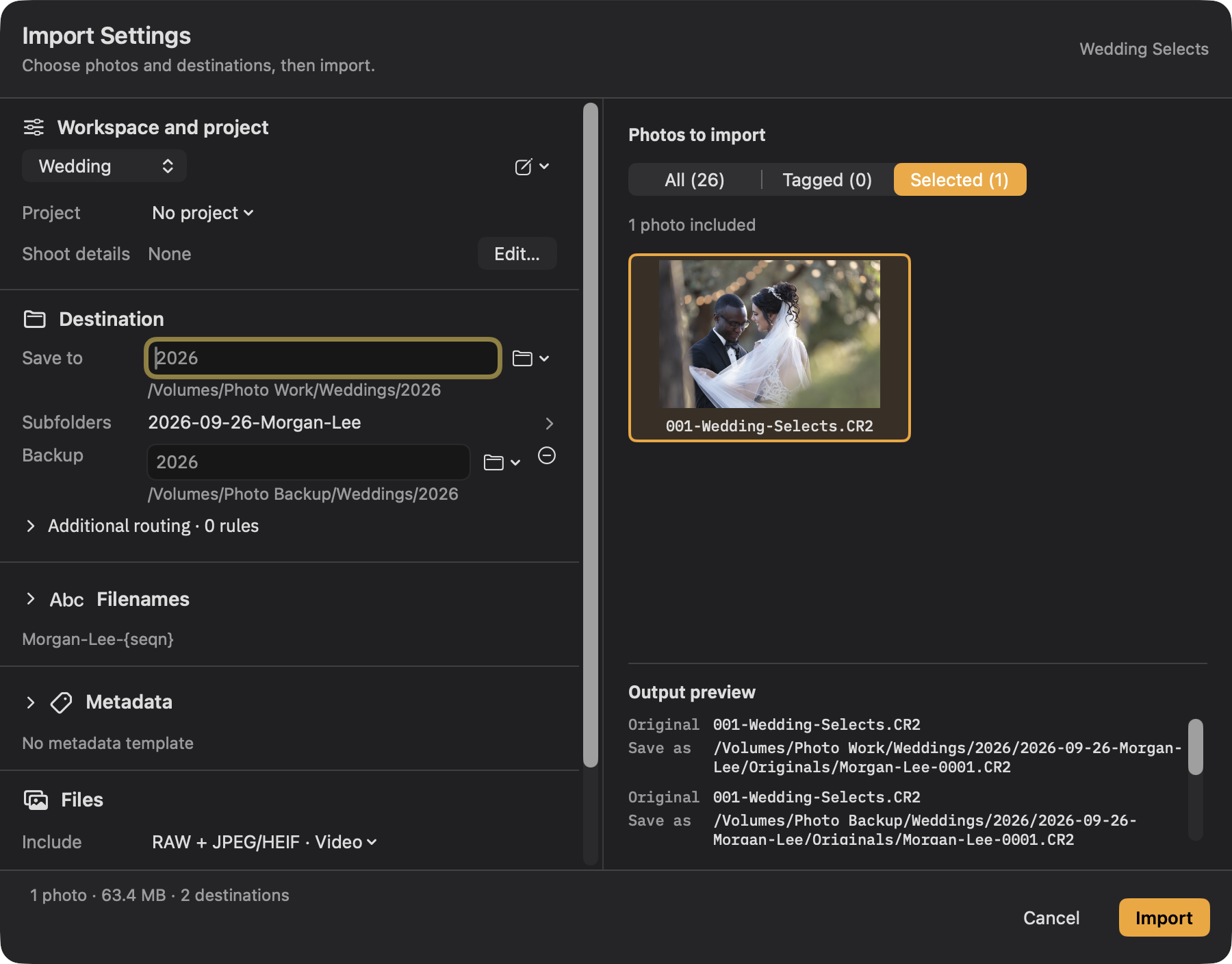 Import Settings showing the Selected scope and two verified-copy destinations