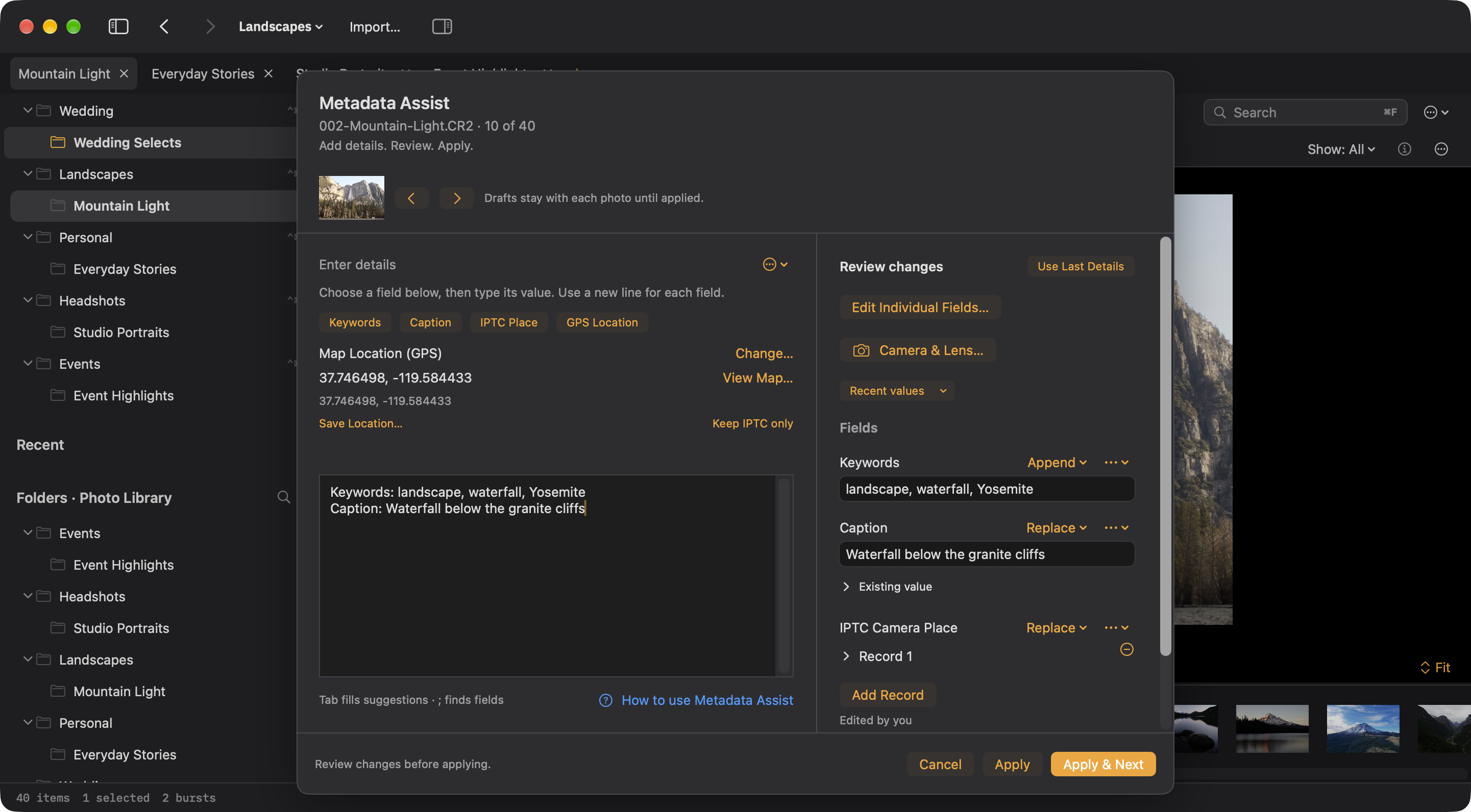 Metadata Assist: labeled details on the left and editable changes on the right