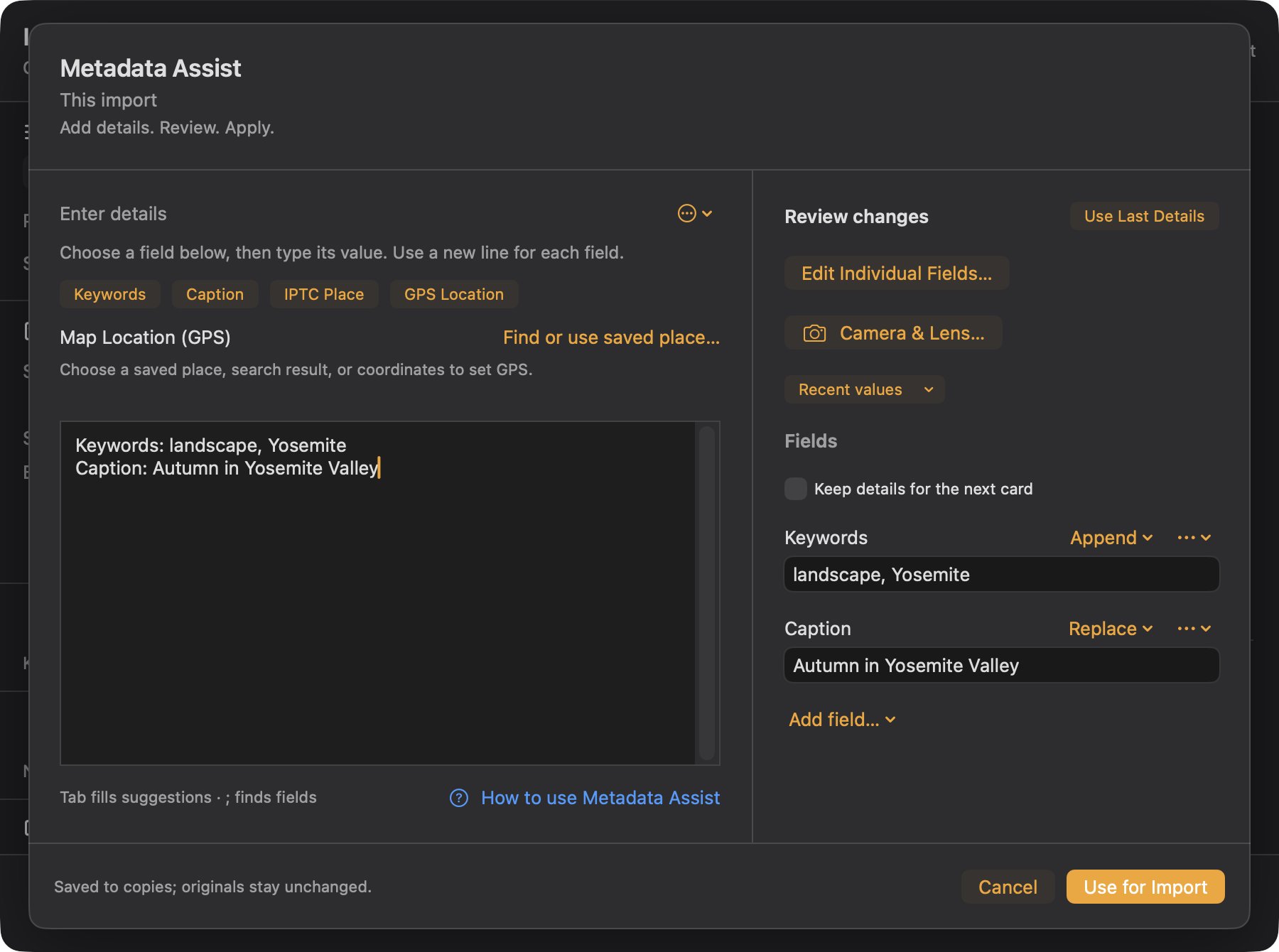 Metadata Assist with landscape keywords and a caption staged for import